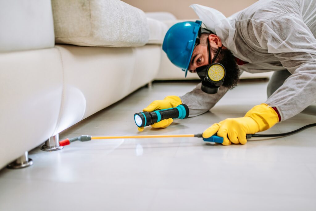 Alvin Termite Control